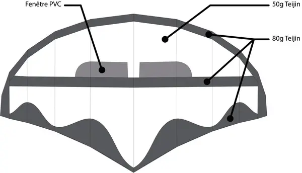 Backbonestructure.webp